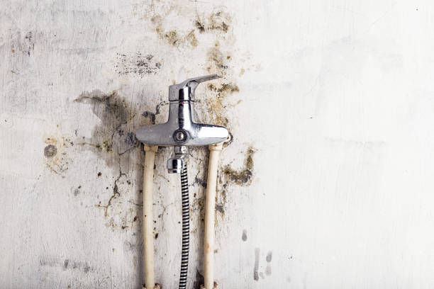 Trusted Vandenberg Af, CA Mold Removal Experts