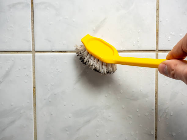 Best Fast Mold Removal  in Vandenberg Af, CA