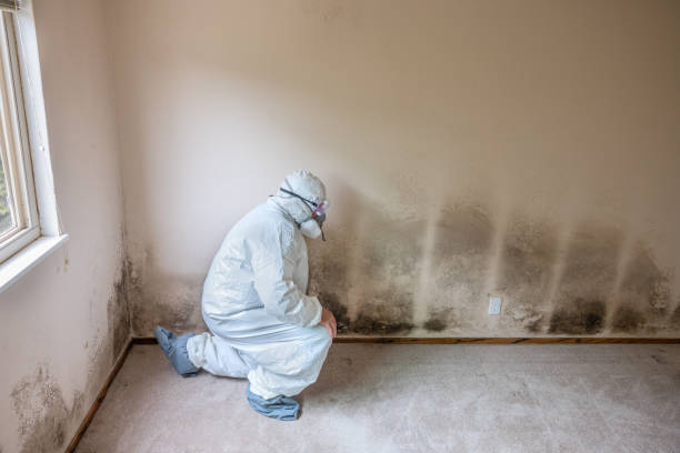 Water Damage Restoration in Vandenberg Af, CA